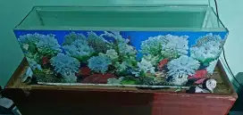 DIJUAL AQUARIUM UKURAN 90CM X 25CM