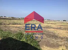 Dijual Tanah di Jalan Gerongan, Kraton, Pasuruan