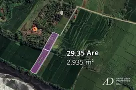 FREEHOLD BEACHFRONT LAND IN PEKUTATAN (3,000 M2) IN TOURISM ZONE