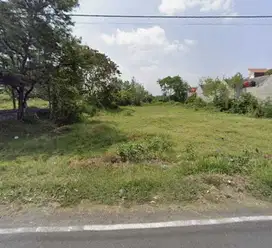 Tanah Bagus Murah Strategis di Gedangan Solo Baru