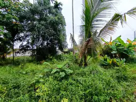 DI JUAL TANAH MURAH TENGAH KOTA DI JL LIMBAT DEKAT JLN SOEKARNO HATTA