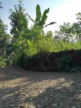 Dijual Tanah Klampok Singosari