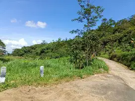 Dijual tanah pinggir sungai dikarangpandan