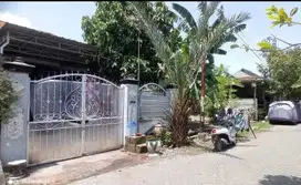 Dijual Rumah Pemilik Butuh Uang Lokasi Wage Taman Sidoarjo