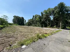 Jual Tanah Jogja Belakang Kampus, Prospek Investasi