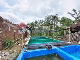 DIJUAL Tanah Daerah Gunung Kawi Bonus Pembibitan Lele