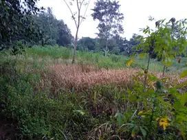 Tanah Luas siap bangun di Maja Lebak