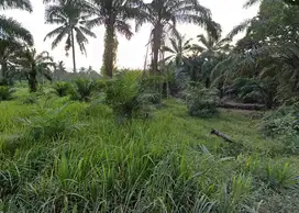 [DIJUAL] TANAH LUAS 19.507m² – Lokasi Strategis di Air Joman, Asahan