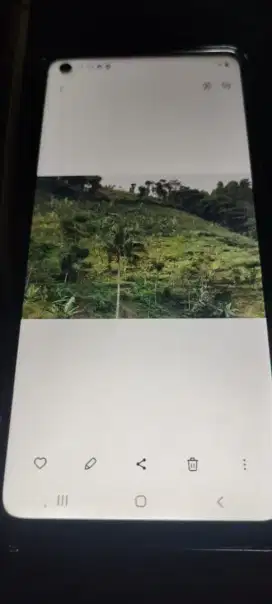 Dijual Cepat Tanah Terjangkau Campakamekar Padalarang
Bandung Barat