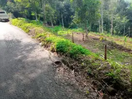 Dijual Cepat Tanah Strategis Pinggir Jalan Provinsi Padalarang KBB