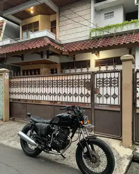 Custom Basic Tiger