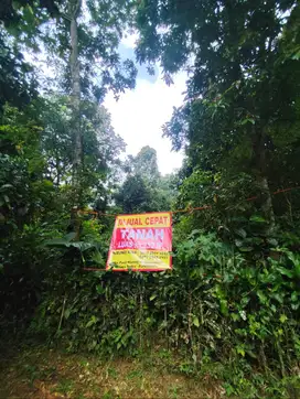 Jual Tanah Kebun BU (Harga NEGO)