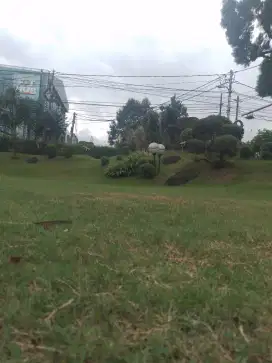 Tukang taman amanah
