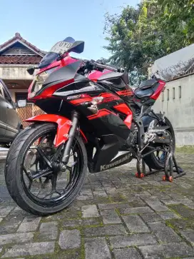 Kawasaki Ninja 250 Mono sl 2017 pajak hidup