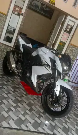 Kawasaki Ninja Z250