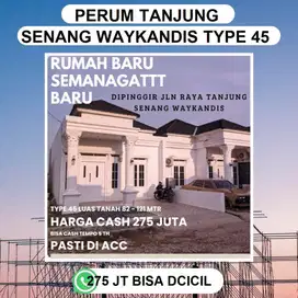 CLUSTER WAYKANDIS 295 JUTAAN.. TYPE 45 DIPINGGIR JALAN UTAMA AMD
