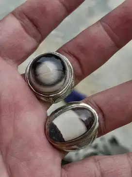 Batu akik garut dan fosil kayu