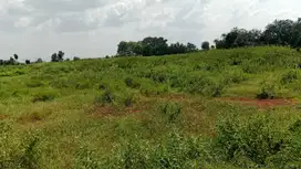 Dijual tanah tanah kebun di zona industri di karawang