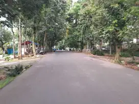 Tanah Kapling Cifor Bayar Cicil TANPA Bunga; Free SHM