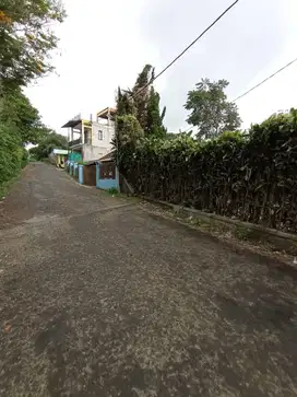 JUAL TANAH LUAS MURAH KONTUR DATAR DI CIBODAS LEMBANG BANDUNG