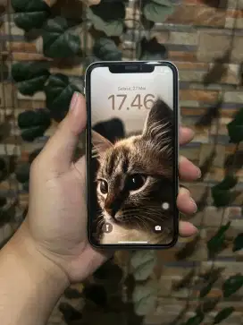 iPhone XR 128GB White Murah