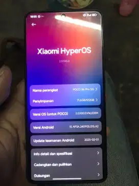 Poco X6 Pro 12+6/512GB