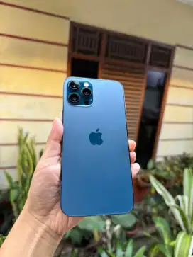 Iphone 12 PROMAX 128gb Setara Ibox