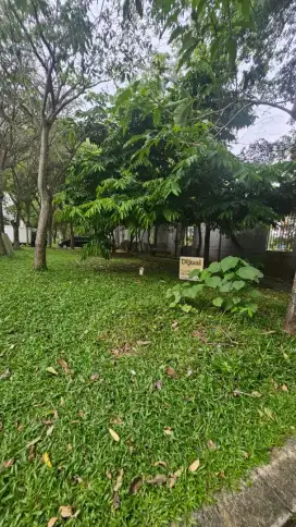 kavling kecil greenwich park bsd city cluster hylands