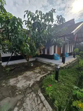 Rumah luas plus kebun kolam dan taman