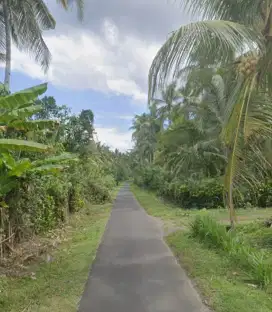 Tanah Zona Industri di Candikusuma Melaya Jembrana Bali