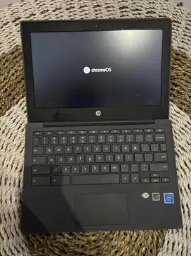 Notebook/Laptop HP chromebook