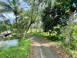 Dijual Murah Tanah Ada Air Mengalir + Kandang Ternak Kambing Sumedang