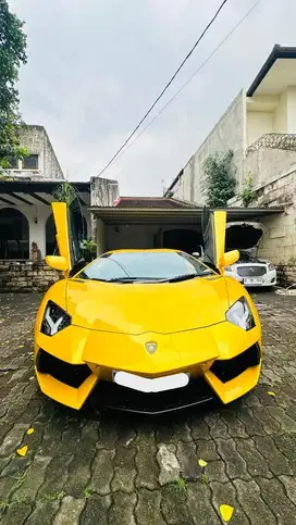 Lamborghini Aventador LP700-4 2013