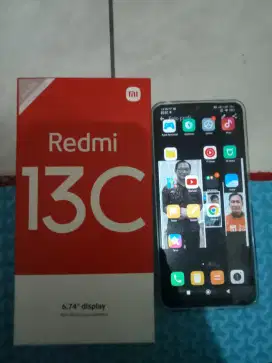 Resmi 13 ram 6+2 GB