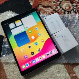 Ipad Air 3 256 GB