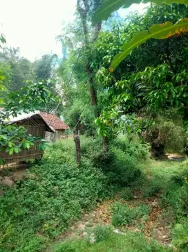 Dijual tanah di Jatirejo Mojokerto