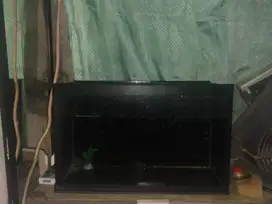 Jual aquarium ukuran 50x25x25