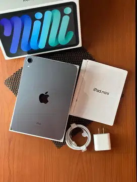 Ipad mini 6 64gb gray wiffi only