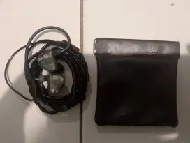 IEM TRUTHEAR GATE