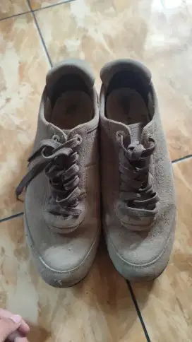 Sepatu Dolce gabana
