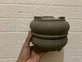 2 pot bonsai mame