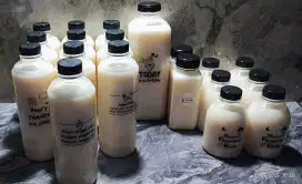 Susu Kedelai Ori / Strawberry / Coklat