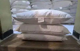 Bantal king koil original Goosedown (bulu angsa) jumbo 50x90 luxury