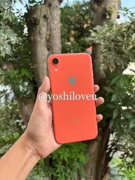 iPhone XR 128 GB Inter Whitelist