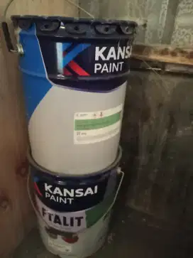 Ready cat Kansai paint nya