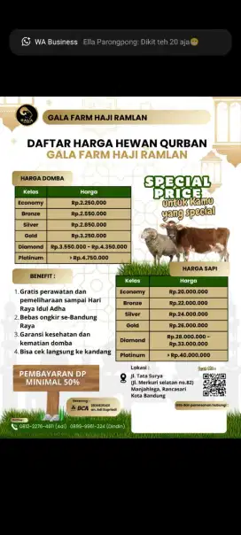 Promo domba kurban ready free ongkos kirim