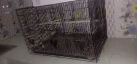 Jual cepat ,kandang burung bekas burung lovebrid ,jual apa ada ya
