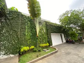 Rumah Mewah, Asri Dan Elegant Dgn Pool di Cilandak Cipete