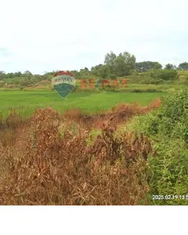 TANAH 1,5 HEKTAR DEKAT DENGAN PERUMAHAN DI SOLEAR TANGERANG