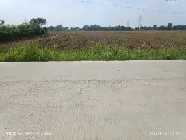 tanah di jalan utama kalodran ciruas serang banten